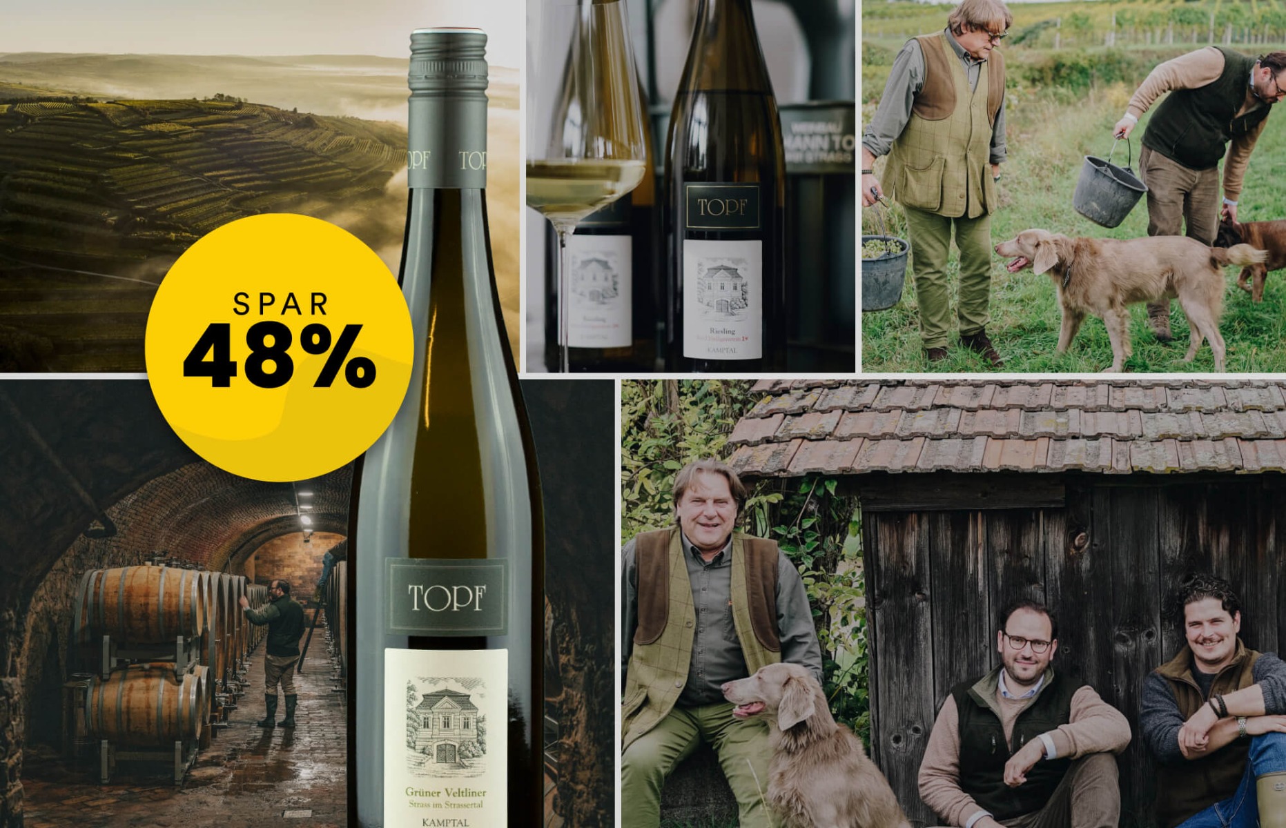 Johann Topf, Grüner Veltliner Strassertal 2025 Øko