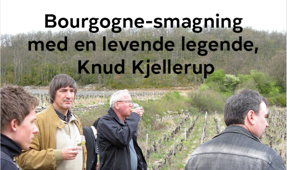Bourgogne smagning med Knud Kjellerup