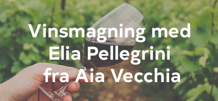 Vinsmagning med Aia Vecchia