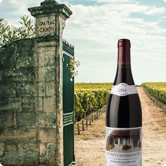 Nyheder fra Bourgogne